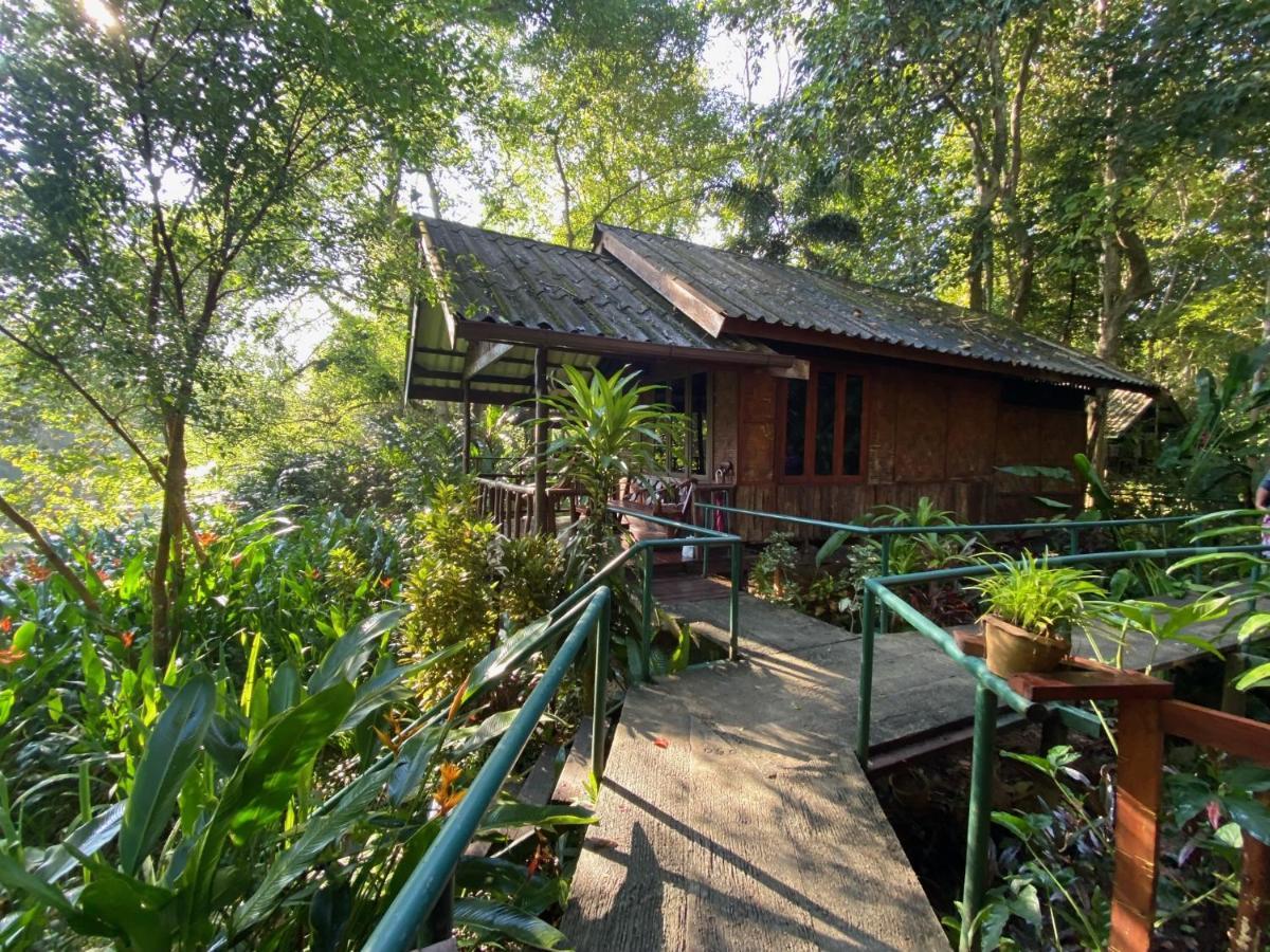 Khao Sok Riverside Cottages Khao Sok National Park 外观 照片