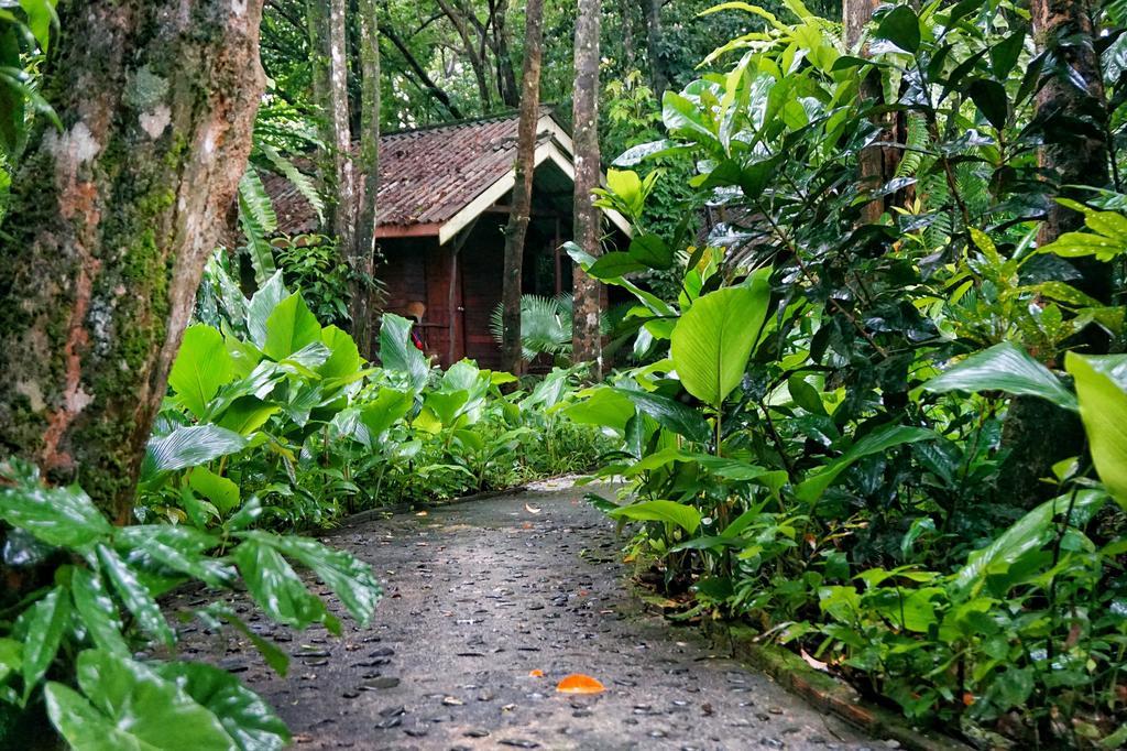 Khao Sok Riverside Cottages Khao Sok National Park 外观 照片