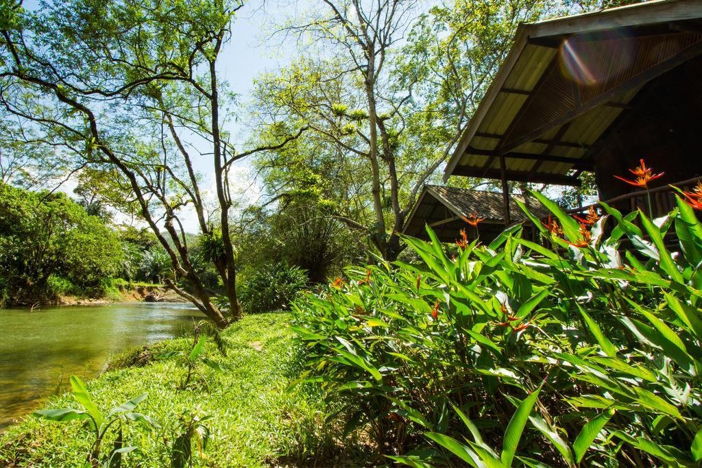 Khao Sok Riverside Cottages Khao Sok National Park 外观 照片